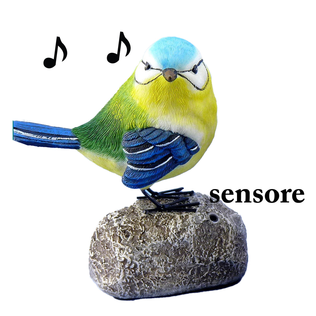 uccelli cinguettanti con sensore